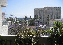 Oakhurst Terrace