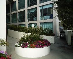 270 Palisades Beach