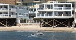 Malibu, The