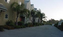Zumirez View