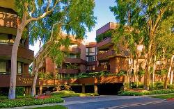 Four Seasons North