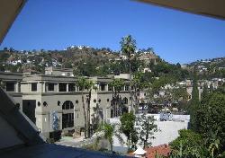 Laurel on Sunset