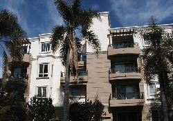 Dorothy Court