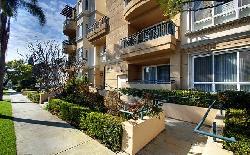 Dorothy Court